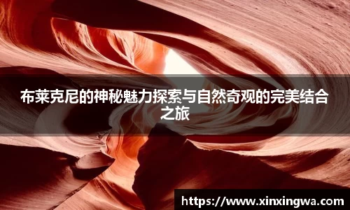 333体育官网app下载